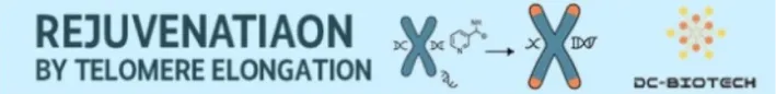 Exploring the capabilities of DNA: delivering cutting-edge immunoregenerative therapies