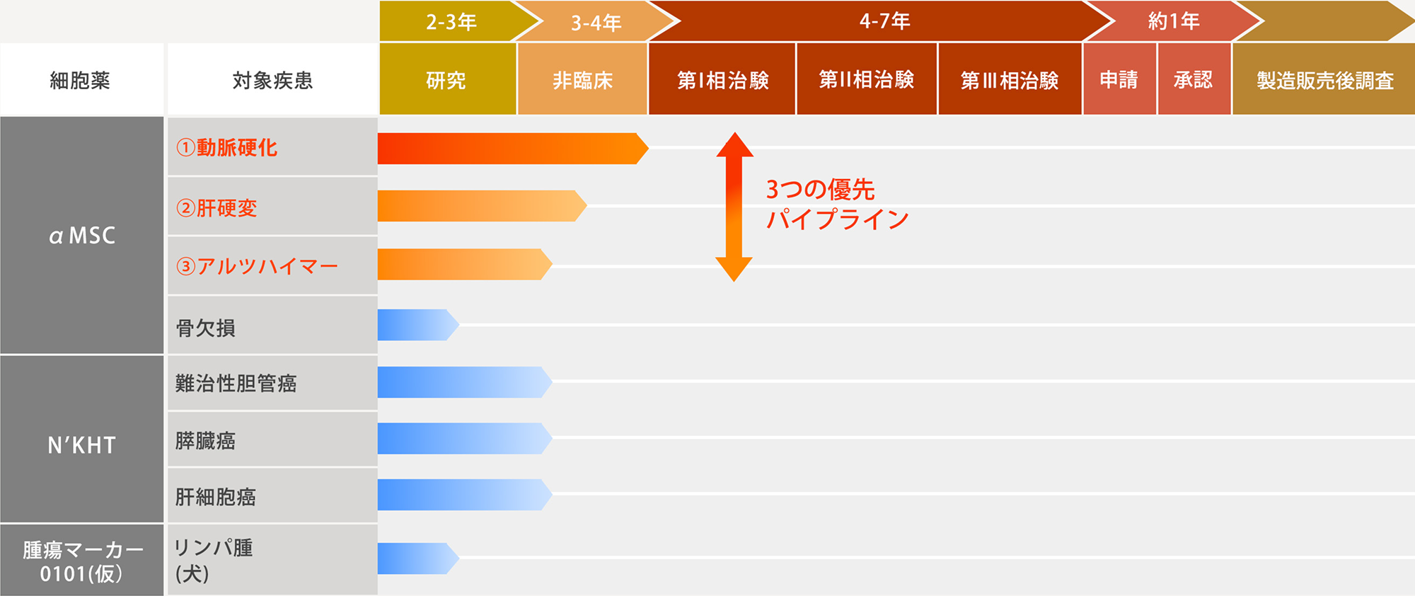 創薬パイプラインの表