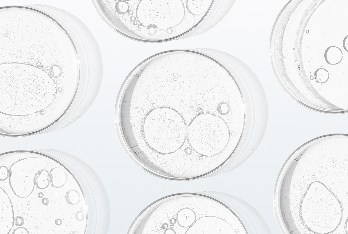 樹状細胞のイメージ画像