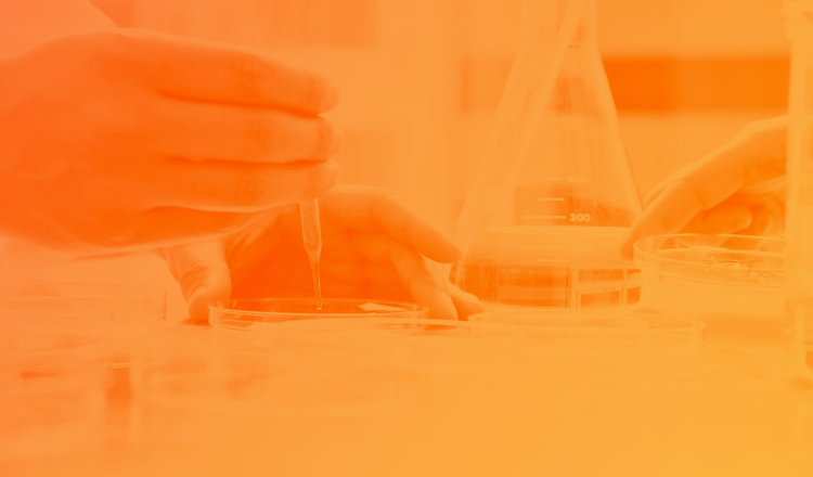 研究者がピペットで液体をシャーレに垂らしている実験中の様子