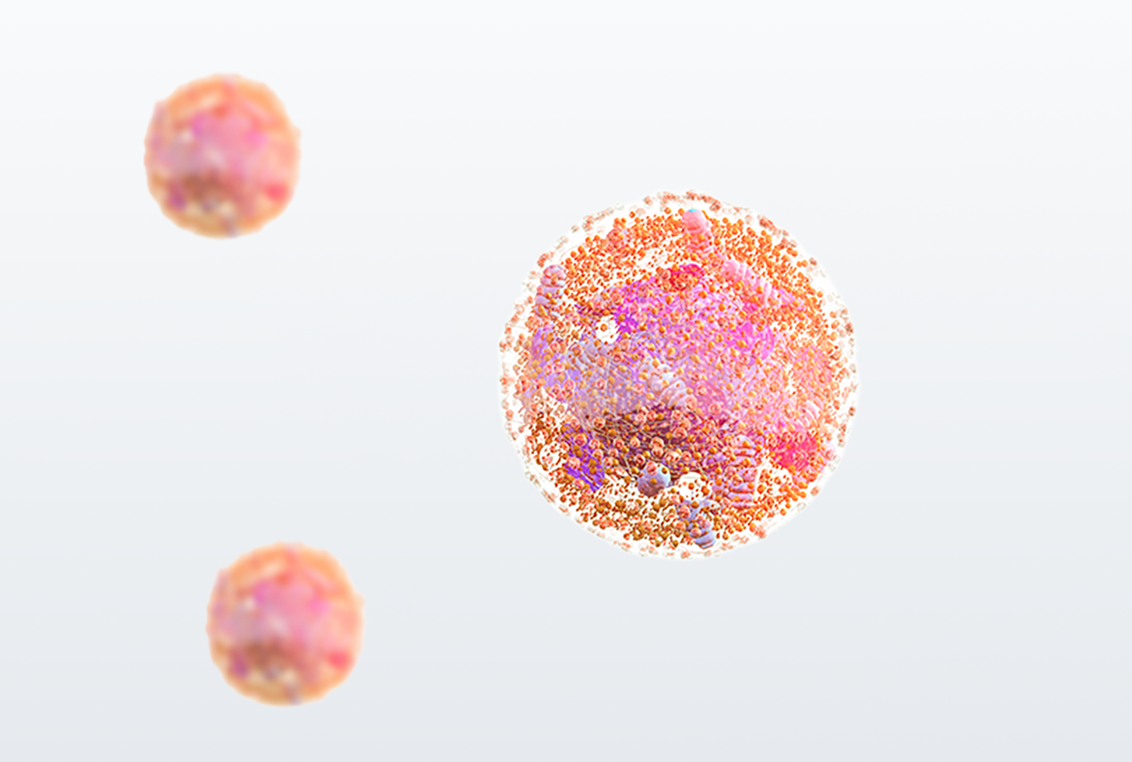 NK細胞のイメージ画像